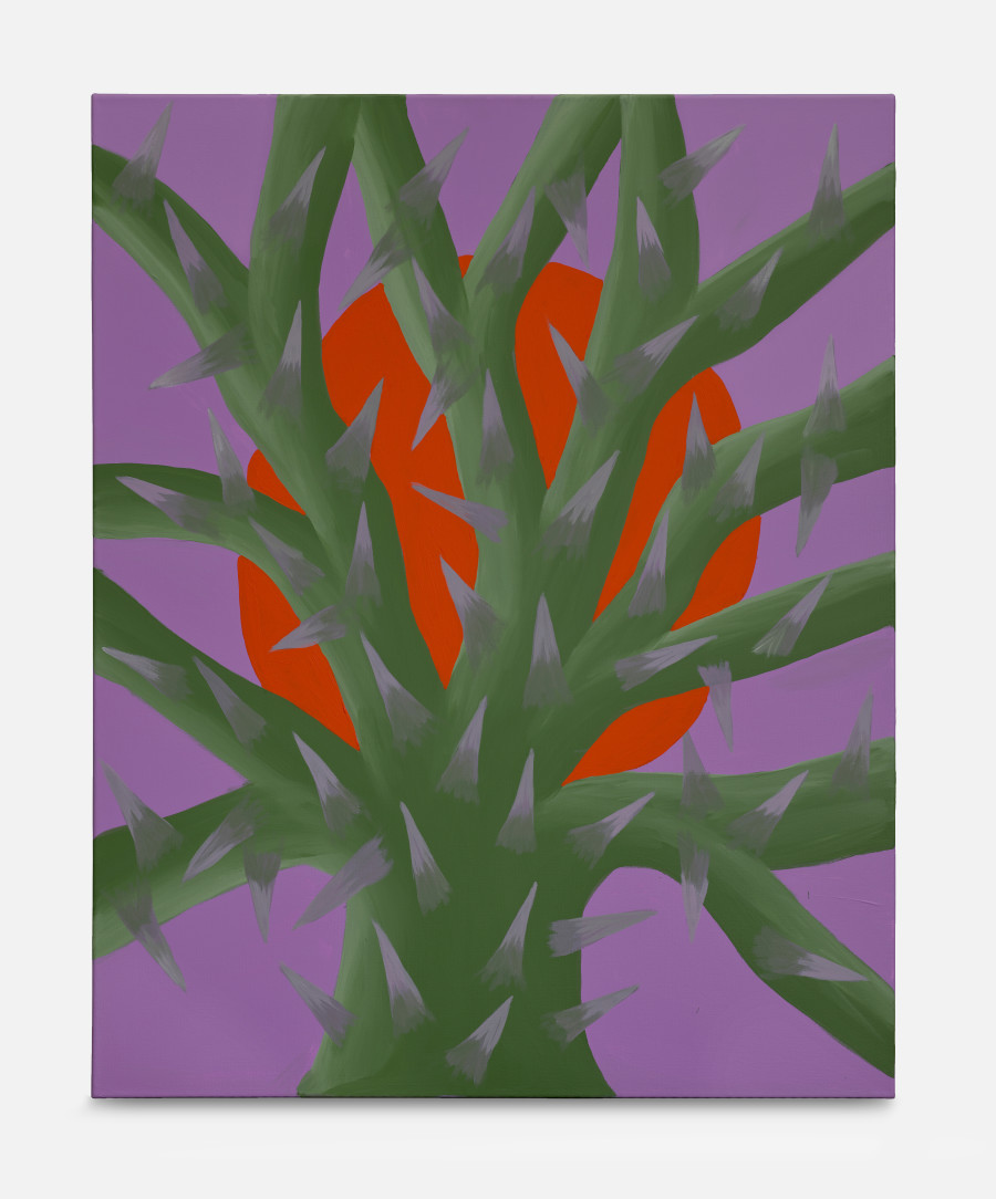 Tilly Joos, Celestial Cactus, 2024. suns.works, Zürich, 2025. ©2025 suns.works and the artists. Photography: Claude Barrault