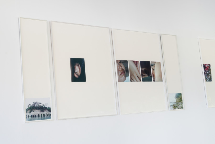 Exhibition view, Rebekka Deubner, tempête après tempête, 13 Vitrine, Lausanne, 2025.