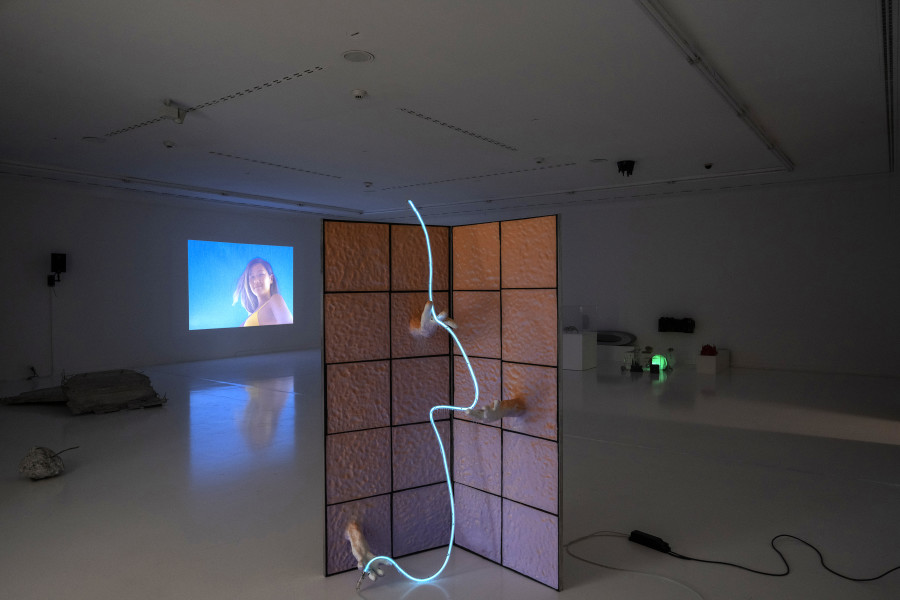Kunststipendien der Stadt Zürich 2021, Helmhaus Zürich_Foto Zoe Tempest
