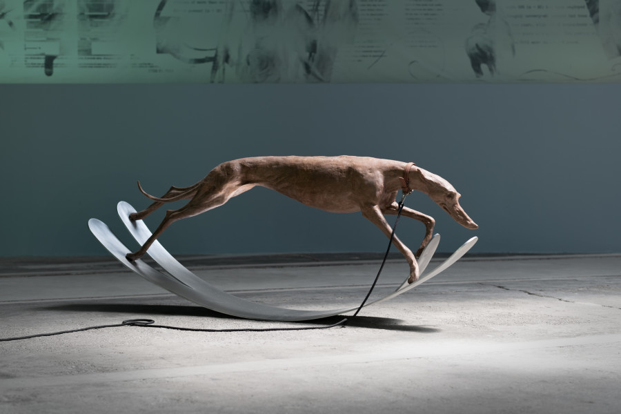 Camille Henrot, Sweet Days of Discipline, installation views LOK by Kunstmuseum St.Gallen Photo: Sebastian Stadler © Camille Henrot, Adagp, Paris, 2023 Supported by Mennour, Paris and Hauser & Wirth