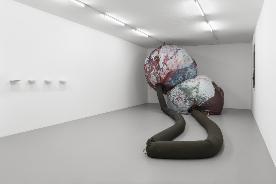 RM, Cherries, 2020. UV-printed PVC, textile, rope and pompons 450 x 950 x 400 cm. [n° inv 2022-080] Collection du Fonds d'art contemporain de la Ville de Genève. Courtesy of the Artists and La Rada, Locarno. Photography by Riccardo Giancola