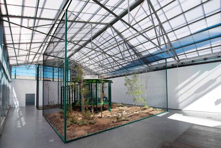 Andrea Blum, Birdhouse, 2013. La Conservera Centro D’arte Contemporaneo Murcia Spain. Courtesy of the artist and Insitu / Fabienne LeClerc, Paris