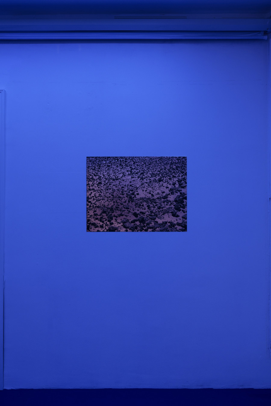 Exhibition view, Florent Meng Lechevallier, The Analogue Tracks, Villa du Parc, 2024. Photo credit: Aurélien Mole