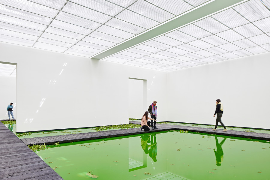 Installation view, Fondation Beyeler, Riehen/Basel, 2021 Courtesy of the artist; neugerriemschneider, Berlin; Tanya Bonakdar Gallery, New York / Los Angeles © 2021 Olafur Eliasson Photo: Mark Niedermann