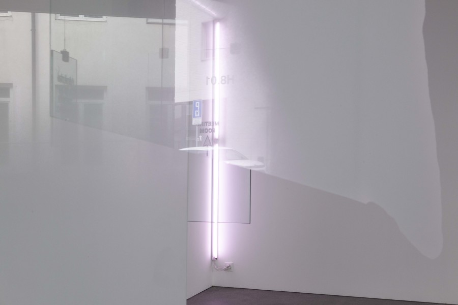 Eva Zornio: Redevenir poisson, Exhibition view, 2023, Espace 3353, photo: Anastasia Mityukova.