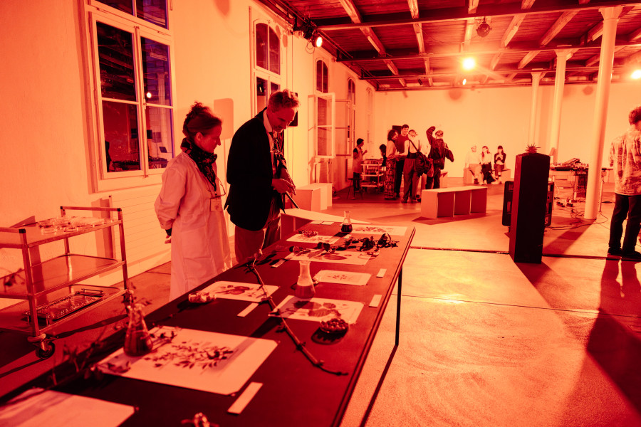 Multisensory evenings: #2 A quiet digest, Installation view, 2023, Friart.