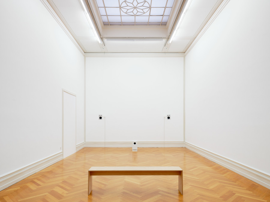 Exhibition view, Back to the Future, George Steinmann, Lofty Dryness. A growing Sculpture, 2003 – 2024, Kunsthalle Bern. Photo: David Aebi.