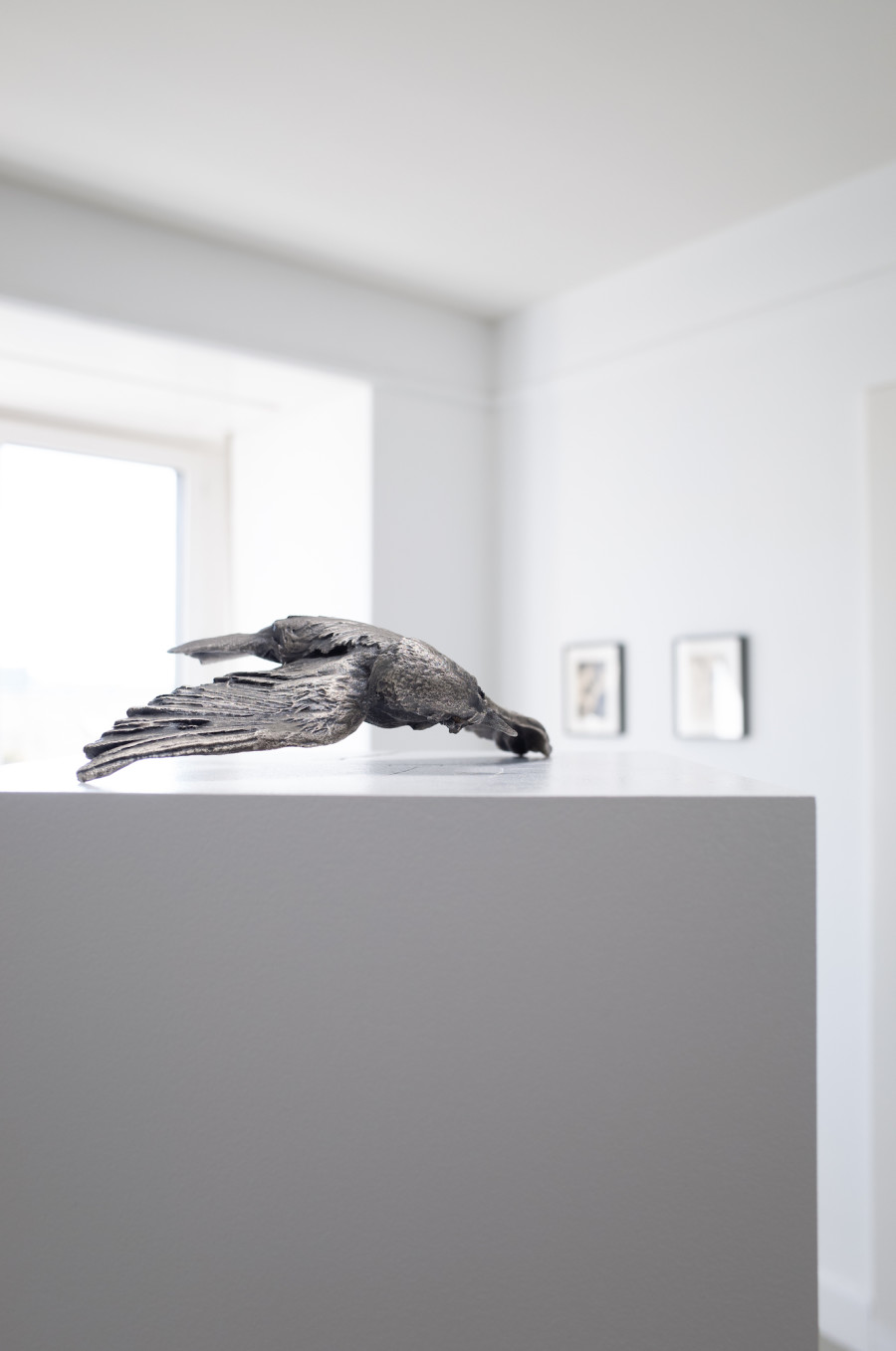Iouri Podladtchikov & Elio Luxardo: You're Probably Right,Exhibition view, 2023, The Lighthouse, Photo credit: Iouri Podladtchikov.