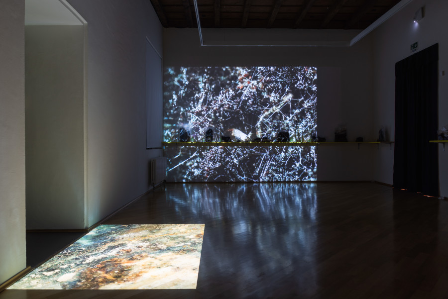 Installation view Lucas Herzig “and often means always”, © MASI Lugano, photo Mattia Angelini