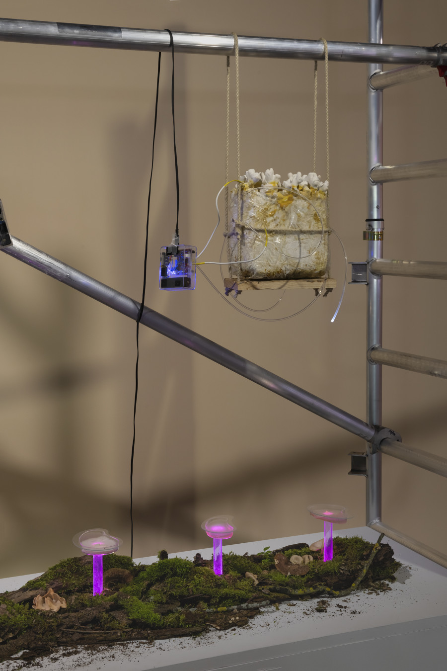 Susanne Hartmann, Experiments III, 2025, «Other Intelligences», 2025, HEK, photo: Franz Wamhof