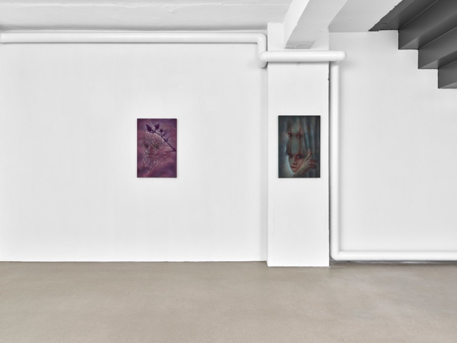 Exhibition view, David Weishaar, Eyelids, towards Night, flatmarkus, Zürich, 2026.