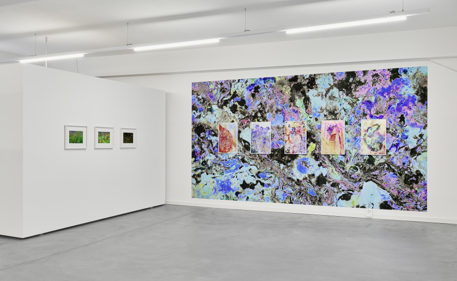Installation view, Gardens of Dreams, Edition VFO, 2025. Photography by Bernhard Strauss