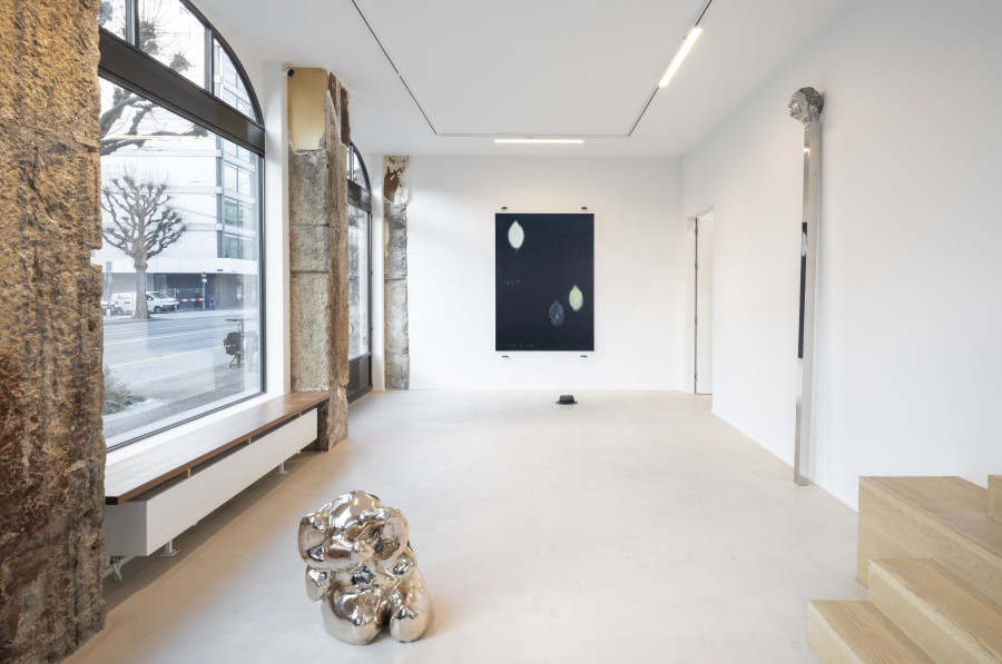Exhibition view, Not Vital, The Self, Wilde, 2025. Photo credit: Studio Eric Bergoend. Courtesy Not Vital et Wilde