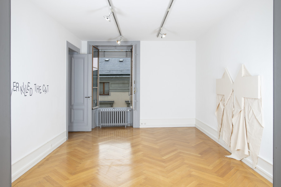 Exhibition view, Niels Hung, Curiosity Never Killed The Cat, Société des Arts de Genève, 2026.