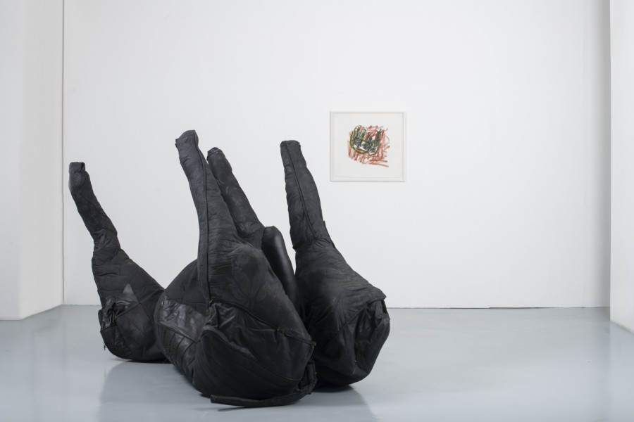 Installation view, INTO THE WILD, Wilde, 2022. Photo: Grég Clement