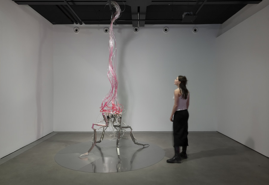 Yiming Yang, Splice, 2020, «Other Intelligences», 2025, HEK, photo: Franz Wamhof