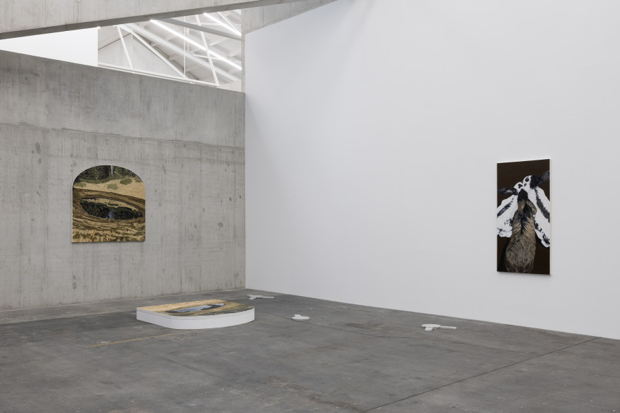 Charlotte Horn, Arrow, 2024; Cathexis, 2024. Courtesy the artist. Ausstellungsansicht / Installation view Kunsthaus Baselland 2024. Foto / Photo: Gina Folly