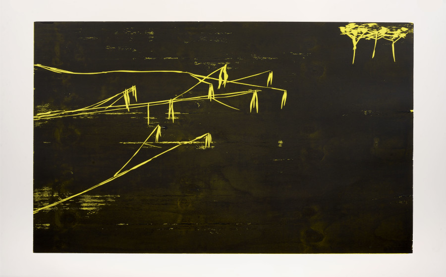 Andrea Büttner, Hazelnut, 2023, woodcut on paper, 112 x 178 cm, Ed. of 3. Photo: Max Ehrengruber, Courtesy of the artist and Galerie Tschudi