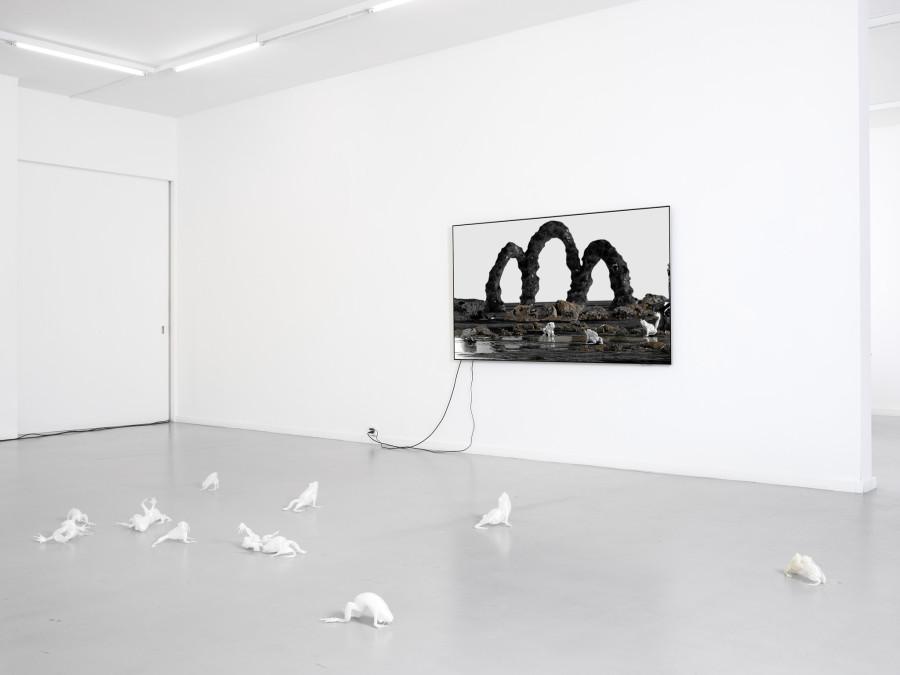View of the exhibition Caroline Schattling Villeval, Carences et toute-puissance, CEC, 2024 Exhibition from January 19 to March 1, 2024. Courtesy Centre d’édition contemporaine, Geneva. Photo : © Sandra Pointet