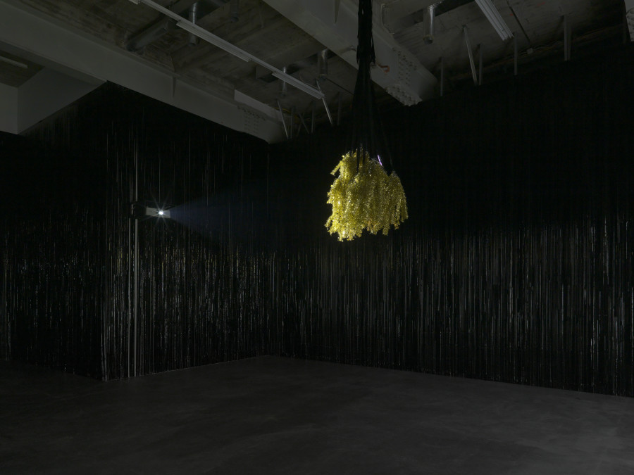 Installationsansicht / Installation view, Jacqueline Fraser, Kunsthalle Zürich, 2020. Foto / Photography: Annik Wetter