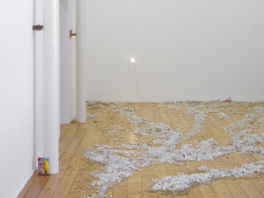 Jason Dodge, installation view, Kunsthalle Friart Fribourg, 2026. Photo: Cedric Mussano