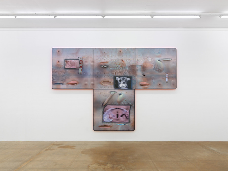 Tishan Hsu, vue d'exposition, MAMCO, 2024. Photo: Annik Wetter