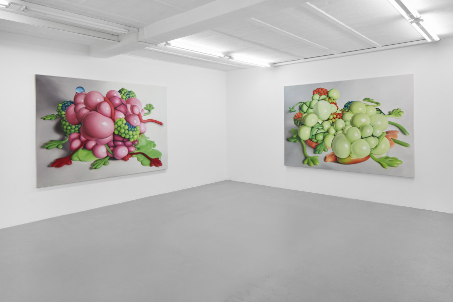 Exhibition view, Till Rabus, Cartoon, galerie lange + pult, Auvernier, 2025. Photo credit: Sully Balmassière