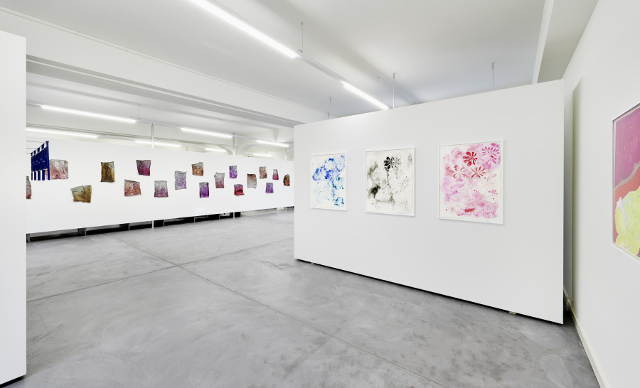 Installation view Edition VFO, Noha Mokhtar, Manon Wertenbroek, Lisa Lurati, Andriu Deplazes; photography: Bernhard Strauss