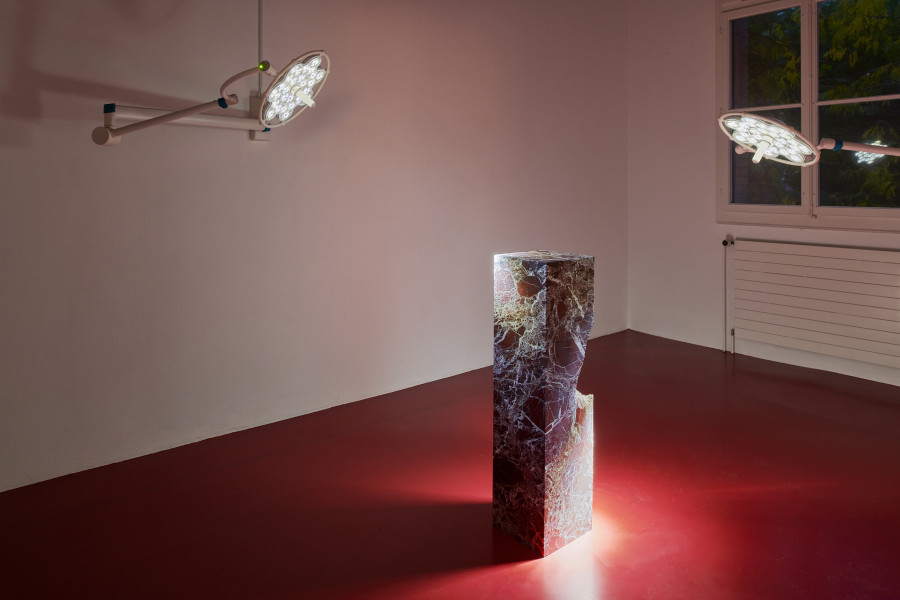 Exhibition view, Ceylan Öztrük, Matter of non, Kunsthalle Friart Fribourg, 2021, Courtesy of Kunsthalle Friart Fribourg