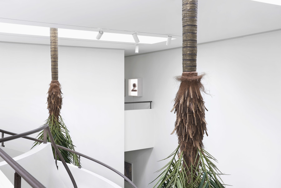 Exhibition view, Yann Gross, Greetings, Wilde, 2024. Photo credit: Philipp Hänger