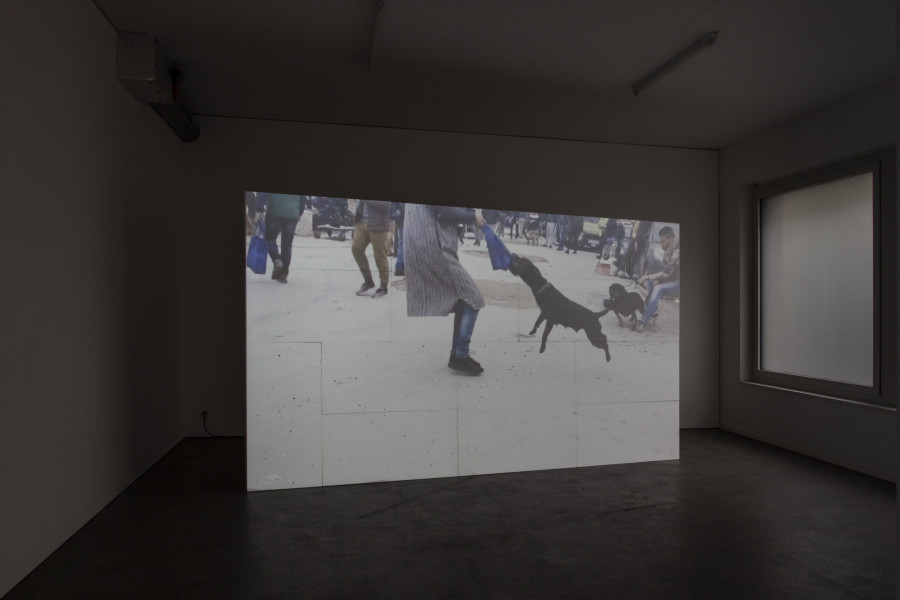 Exhibition view, d.e.d. world, 2022, HD video, color, sound, 16 secs (loop), projection on 14 Styrofoam panels, 2 x 3.5m, buttermilk on windows. Espace 3353, 2022. All credits to ©Anastasia Mityukova