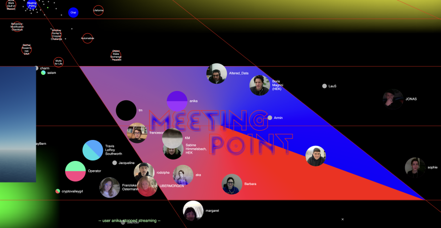 Virtula.hek.ch - Who is Online? Game Art in the Age of Post-NFTism - Vernissage Launch, 2023, HEK, Foto: HEK