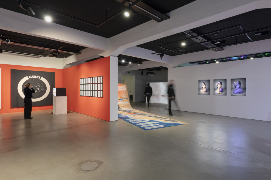 Exhibition view «UBERMORGEN, Johanna Müller, Giulia Essyad. Swiss Media Art – Pax Art Awards 2023», 2024, HEK, photo: Franz Wamhof