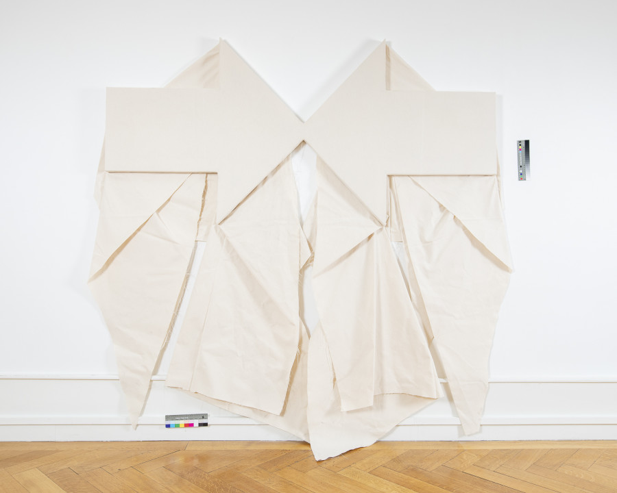 Exhibition view, Niels Hung, Curiosity Never Killed The Cat, Société des Arts de Genève, 2026.