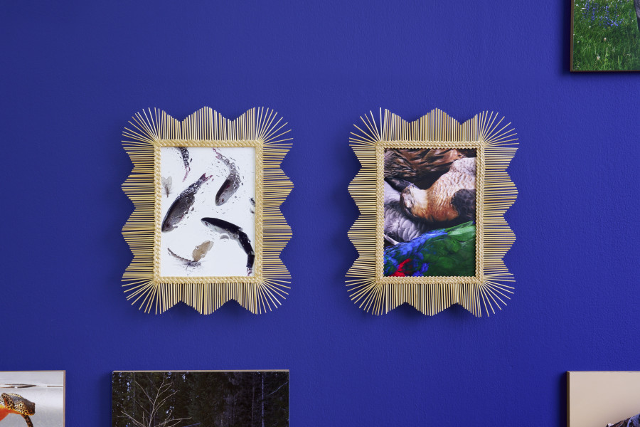 Installation view, Laurence Kubski, Sauvages, Kunsthalle Friart Fribourg, 2024. Photo: Guillaume Python. Courtesy of the artist and Kunsthalle Friart Fribourg