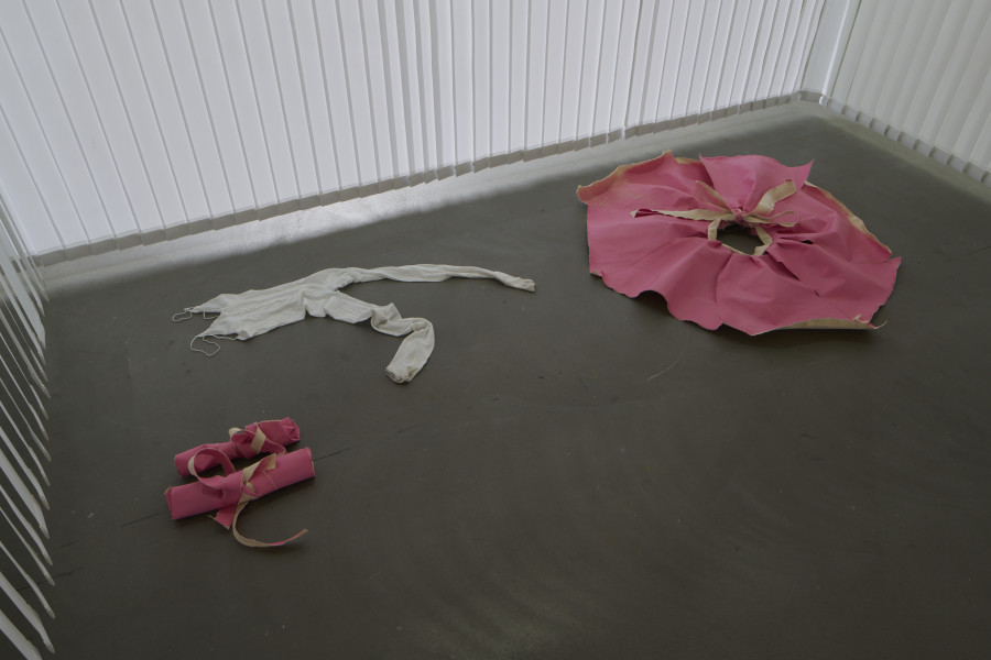Azize Ferizi, virgin , 2025. Photo: Guillaume Python. Courtesy of the artist and Kunsthalle Friart Fribourg