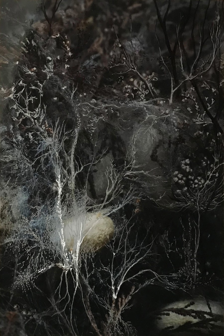 Daniela Bozzetto, Interwoven Existences, The Poetry of Nature, BELETAGE Art Space, 2025. Courtesy The Artist