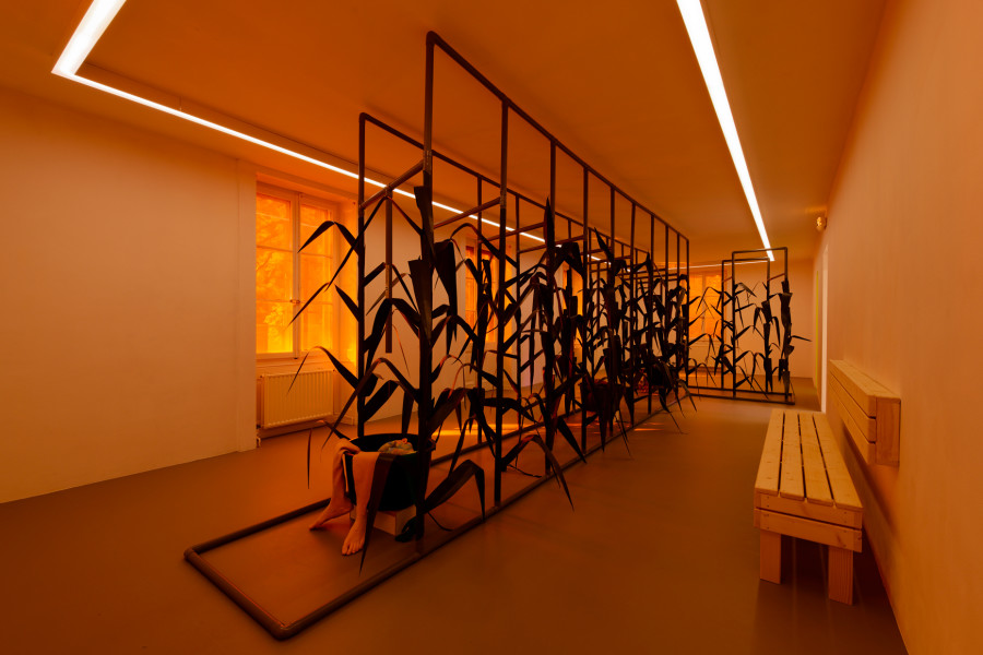 Exhibition view, 4 rivières, Eric Giraudet de Boudemange, Villa du Parc, 2023-2024. Photo credit: Aurélien Mole