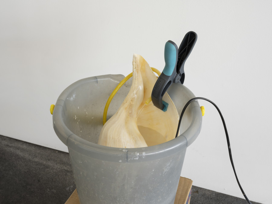 Installation view, Vanessa Safavi, WAVES IN THE CLOSET, Tunnel Tunnel, Lausanne, 2025. Photo credit: Julien Gremaud