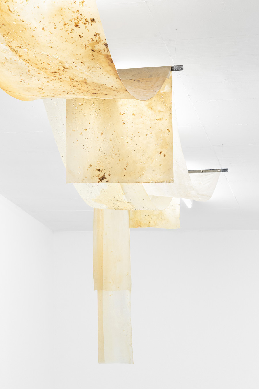 Detail of Lucia Cristiani, Dense, 2025. bioplastics, Sargassum seaweed, iron, variable dimensions. Ph by Riccardo Giancola. Images courtesy of artists and La Rada, Photography by Riccardo Giancola (@riccardo_giancola) and Emanuele Finardi (@e.m.hey)