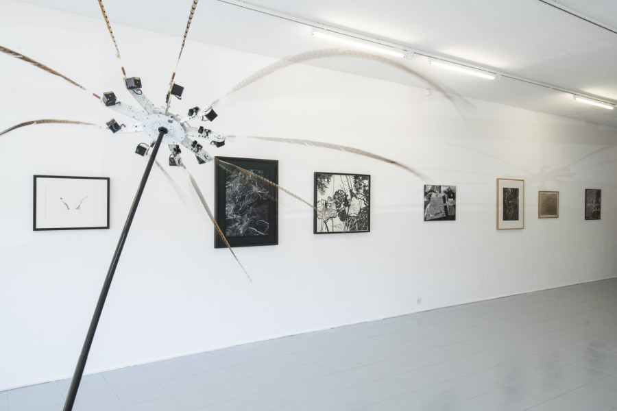 Installation view, INTO THE WILD, Wilde, 2022. Photo: Grég Clement