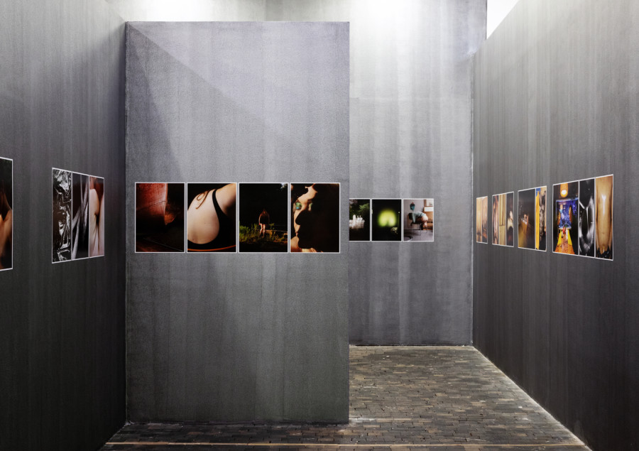 Installation view, Anne Morgenstern, Indocile and Tender, Centre de la photographie Genève, 2022. Image: Anne Morgenstern