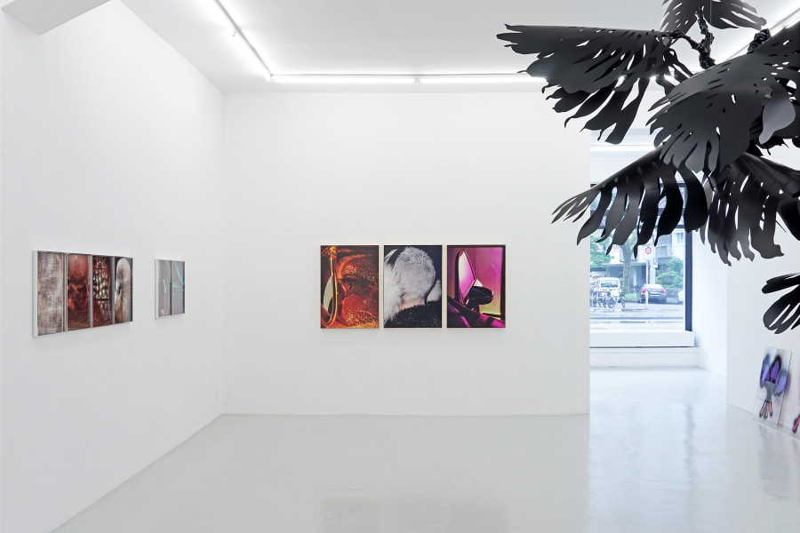 Exhibition view, Liminal Moments 1, Lullin + Ferrari, 2024.