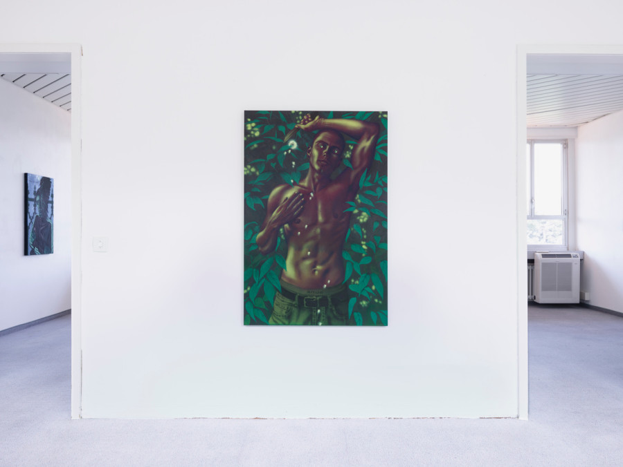 Installation view, unconcealed sensitivities, flatmarkus, 2024. Photo credit: flatmarkus & Felix Jungo
