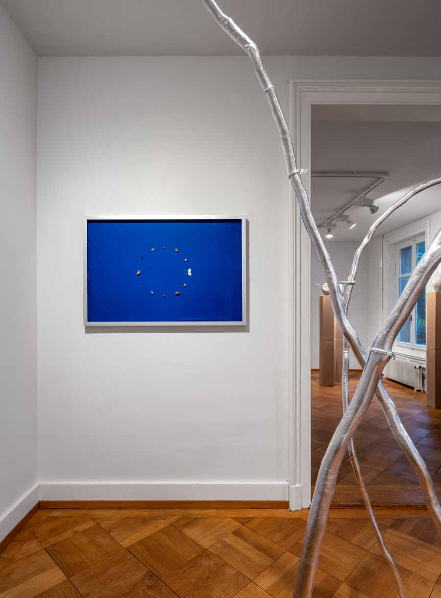 Exhibition view, Manuela Morales Délano, Nachbarn, Kendra Jayne Patrick, Bern, 2025.