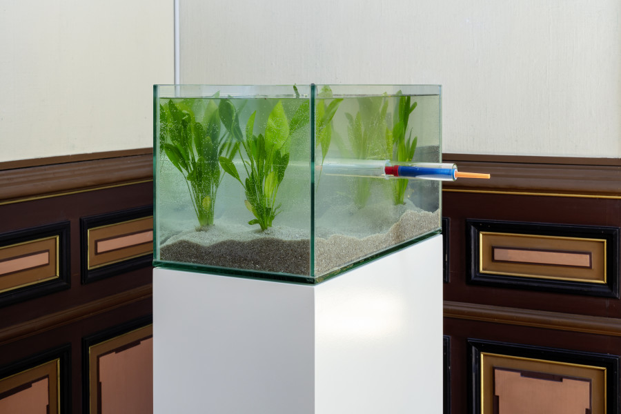 Roman Signer, Donation from the Ursula Hauser Collection, installation view Kirchhoferhaus, Kunstmuseum St. Gallen, Photo: Stefan Rohner