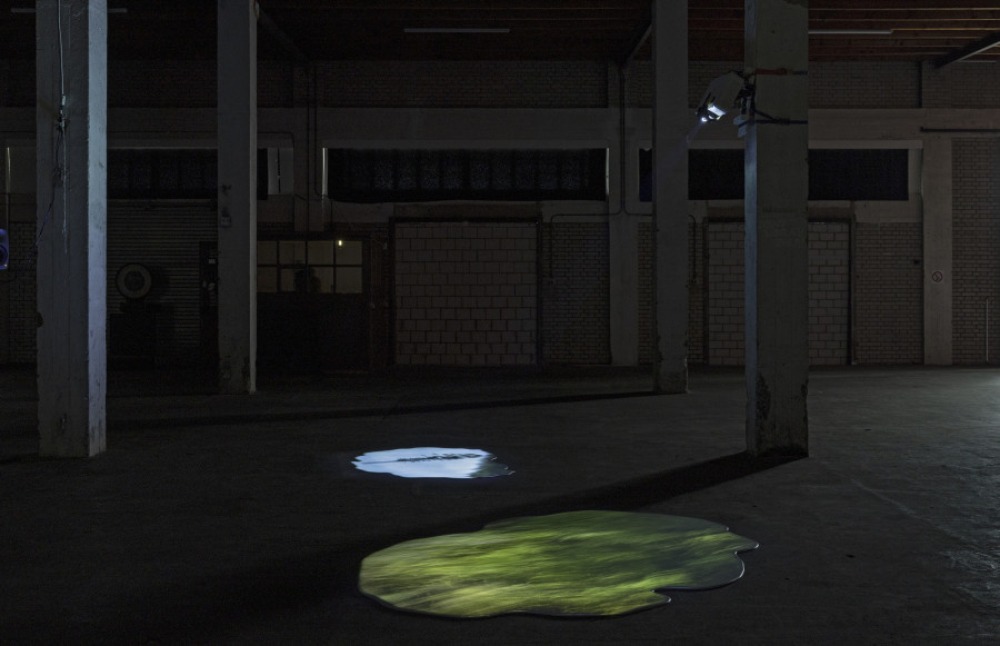 Sonja Feldmeier, Slow Fox, 2024/2025. Courtesy the artist. Ausstellungsansicht Kunsthaus Baselland 2025. Foto: Gina Folly