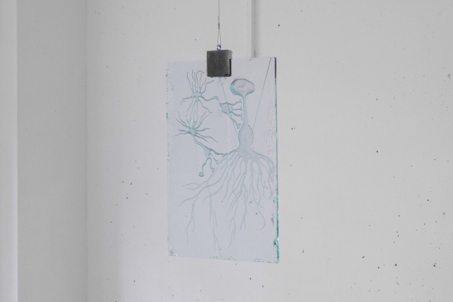 Eva Zornio: Redevenir poisson, Exhibition view, 2023, Espace 3353, photo: Anastasia Mityukova.