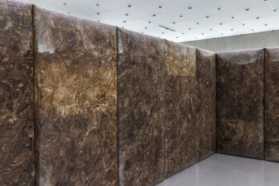 KUB 2025.03 ███████, Exhibition view first floor Kunsthaus Bregenz, 2025. Photo: Markus Tretter. © ███████, Kunsthaus Bregenz