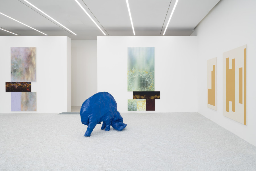 Vue de l’exposition Mirage. La collection d’art BCV invite Natacha Donzé, Gina Proenza, Jean-Luc Manz et Denis Savary au Musée cantonal des Beaux-Arts de Lausanne, 2023 Photo : MCBA, Jonas Hänggi